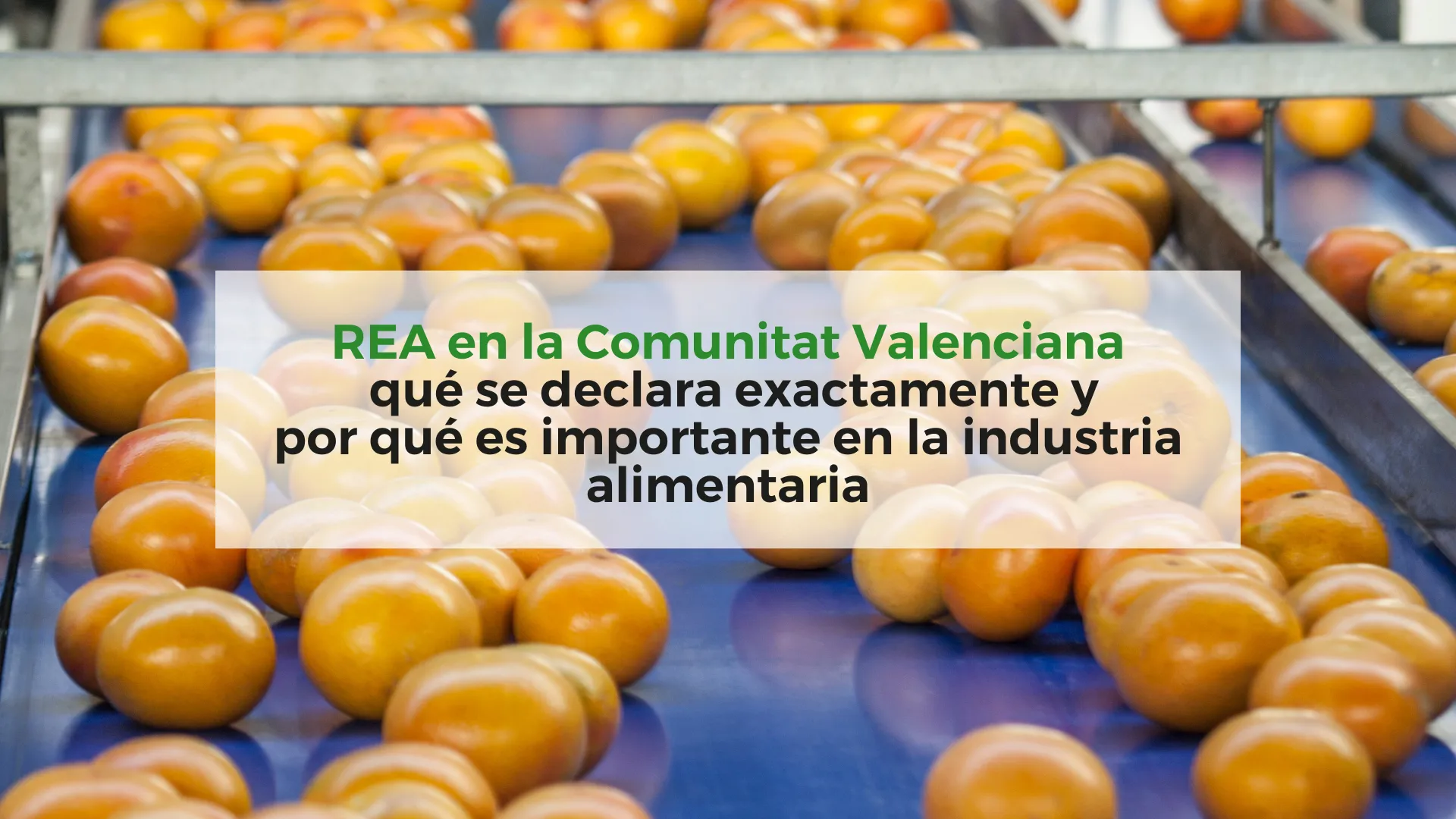 REA-en-la-Comunitat-Valenciana:-qué-se-declara-exactamente-y-por-qué-es-importante-en-la-industria-alimentaria